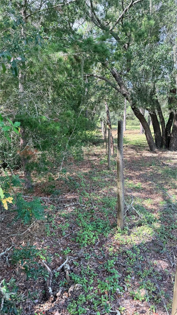 Photo of Bowman Road, Spring Hill, FL 34610 (MLS # TB8554170)
