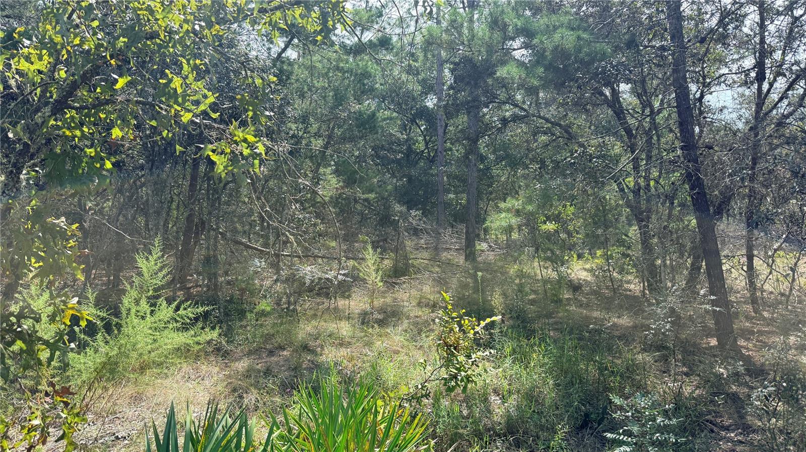 BOWMAN ROAD