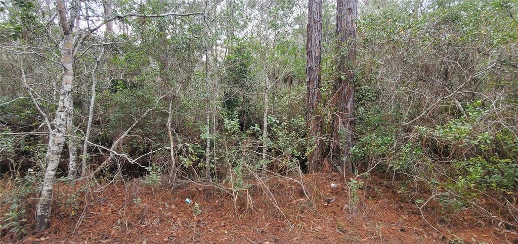 Photo of 00 No Street, Deland, FL 32724 (MLS # TB8471028)