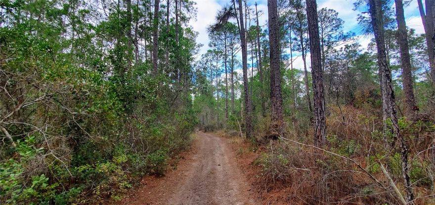 Discover the potential of this 0.45-acre lot in Daytona Park Estates—an excellent opportunity for future development or long-term investment. This NO HOA community offers the freedom to build your own home or enjoy outdoor activities like ATVs and motorbikes. Conveniently located less than 40 miles from Daytona Beach and about 4 miles from Stetson University.