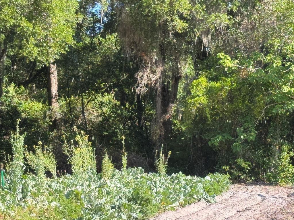Photo of 00 County Road 213, Wildwood, FL 34785 (MLS # W7885154)
