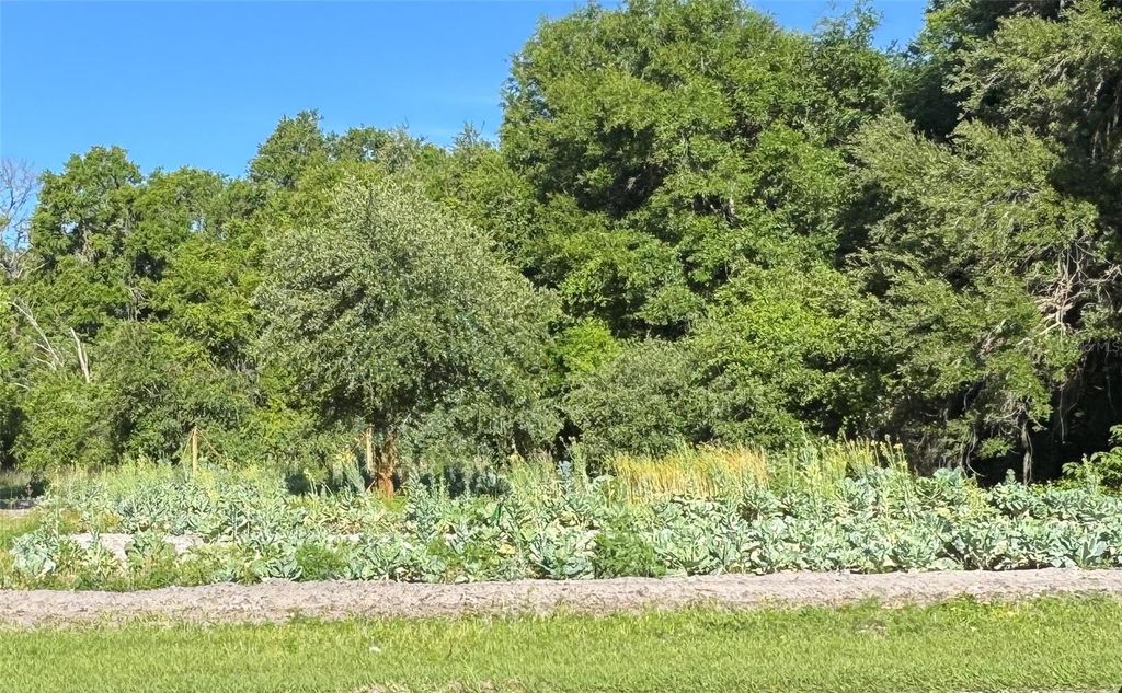 Photo of 00 County Road 213, Wildwood, FL 34785 (MLS # W7885154)