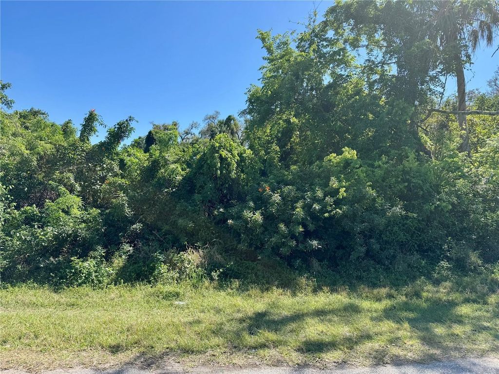 Photo of 16443 Bauers Avenue, Port Charlotte, FL 33954 (MLS # A4658151)