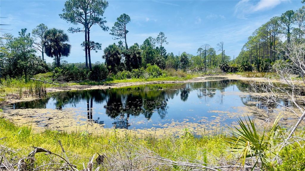Photo of Tbd SW 101st Ln, Cedar Key, FL 32625 (MLS # GC540304)