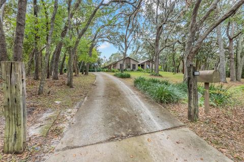 A home in WINTER GARDEN