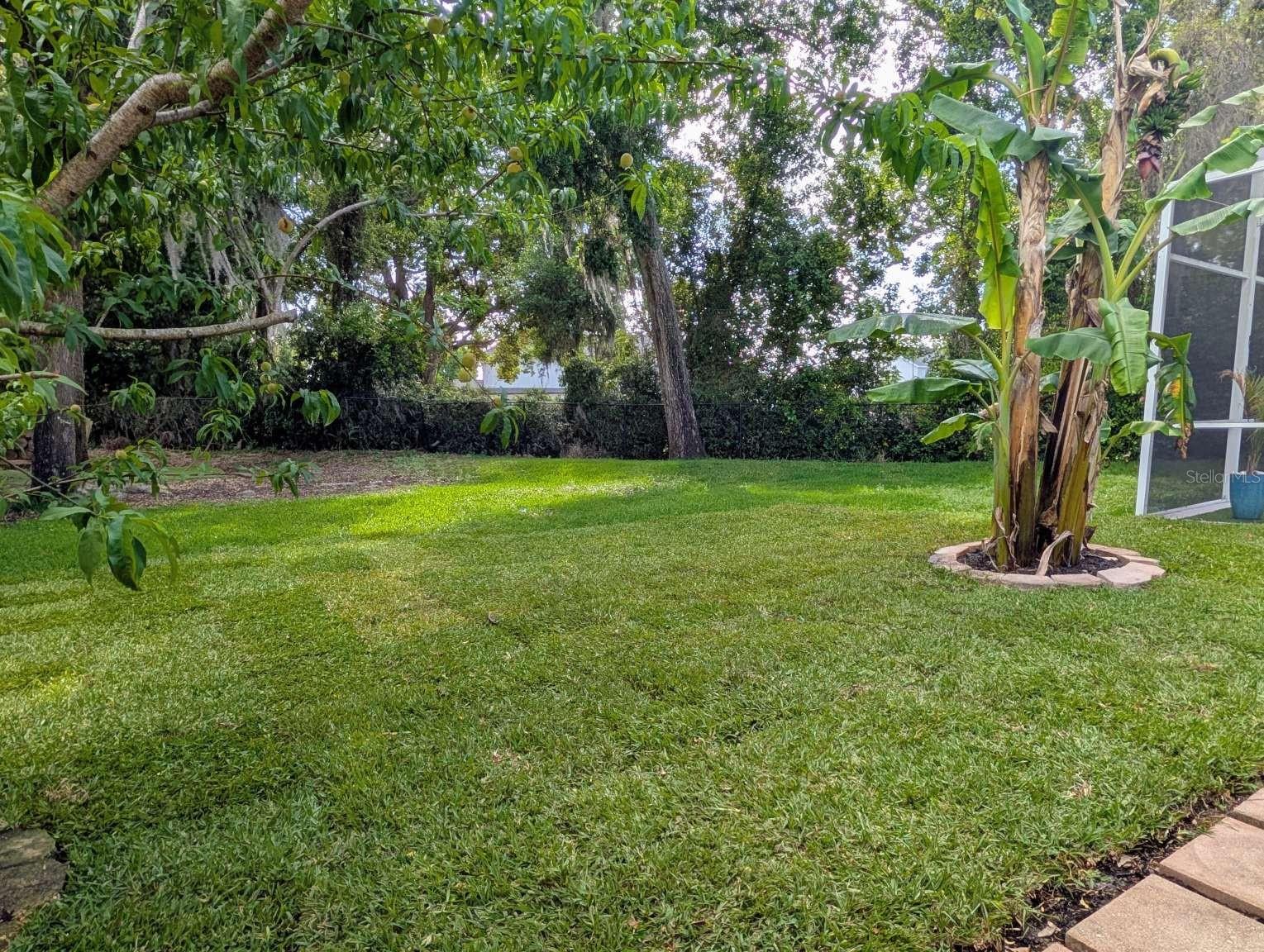 MINNEOLA WATERFORD LANDING SUB - Residential