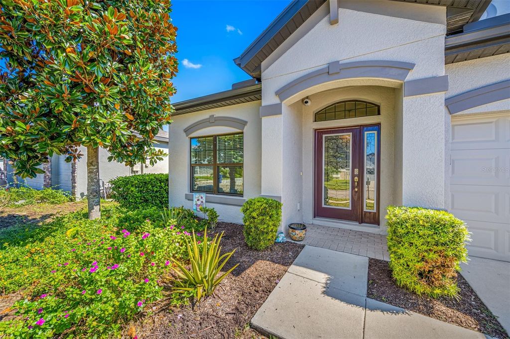 Photo of 8144 Mallow Mirror Lane, Land O Lakes, FL 34637 (MLS # TB8311053)