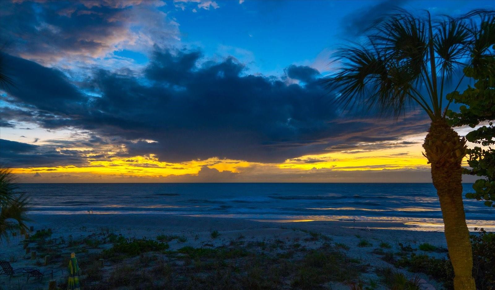 HAPPY FIDDLER CONDO THE - Residential