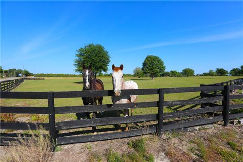 Tiny photo for 12115 SE Sunset Harbor Road, Weirsdale, FL 32195 (MLS # OM696243)