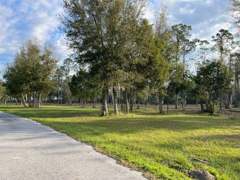 Tiny photo for 12115 SE Sunset Harbor Road, Weirsdale, FL 32195 (MLS # OM696243)