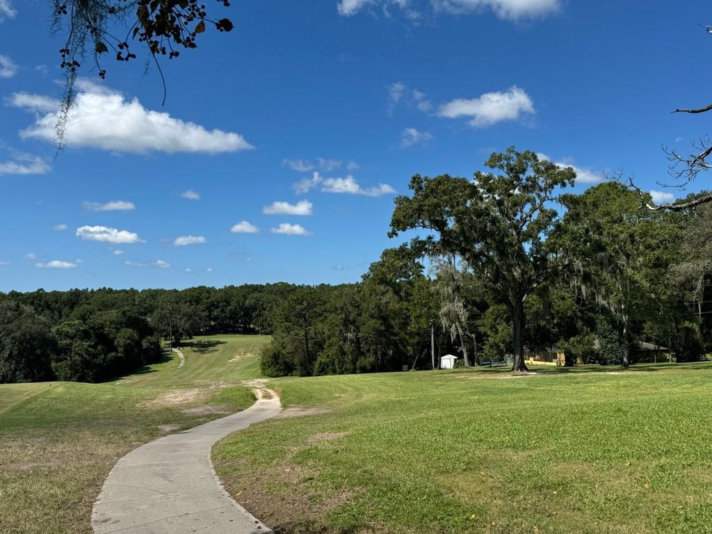 Photo of 6975 N Lime Drive, Citrus Springs, FL 34433 (MLS # O6377862)