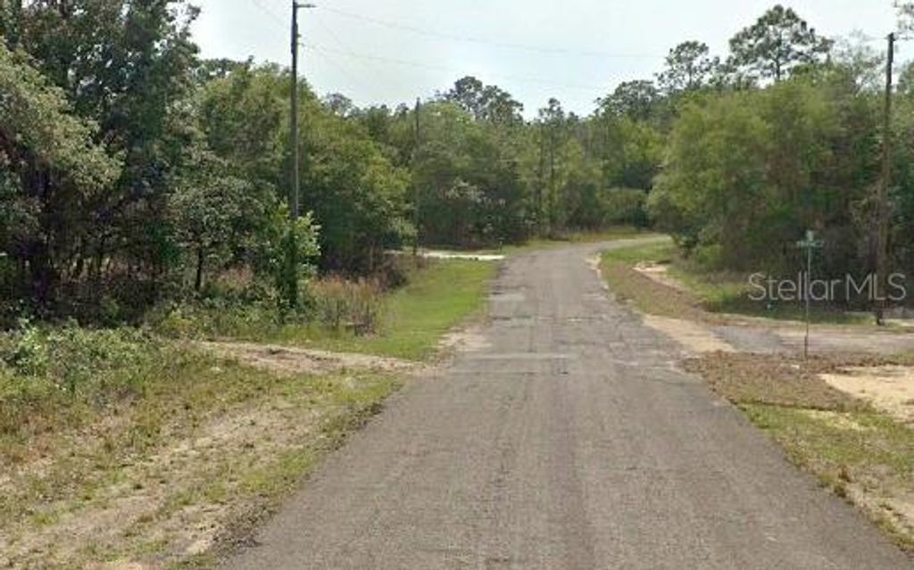 Photo of 6975 N Lime Drive, Citrus Springs, FL 34433 (MLS # O6377862)