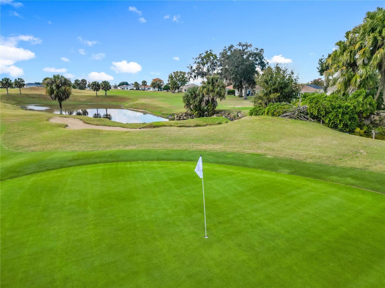 OCALA PALMS - Residential