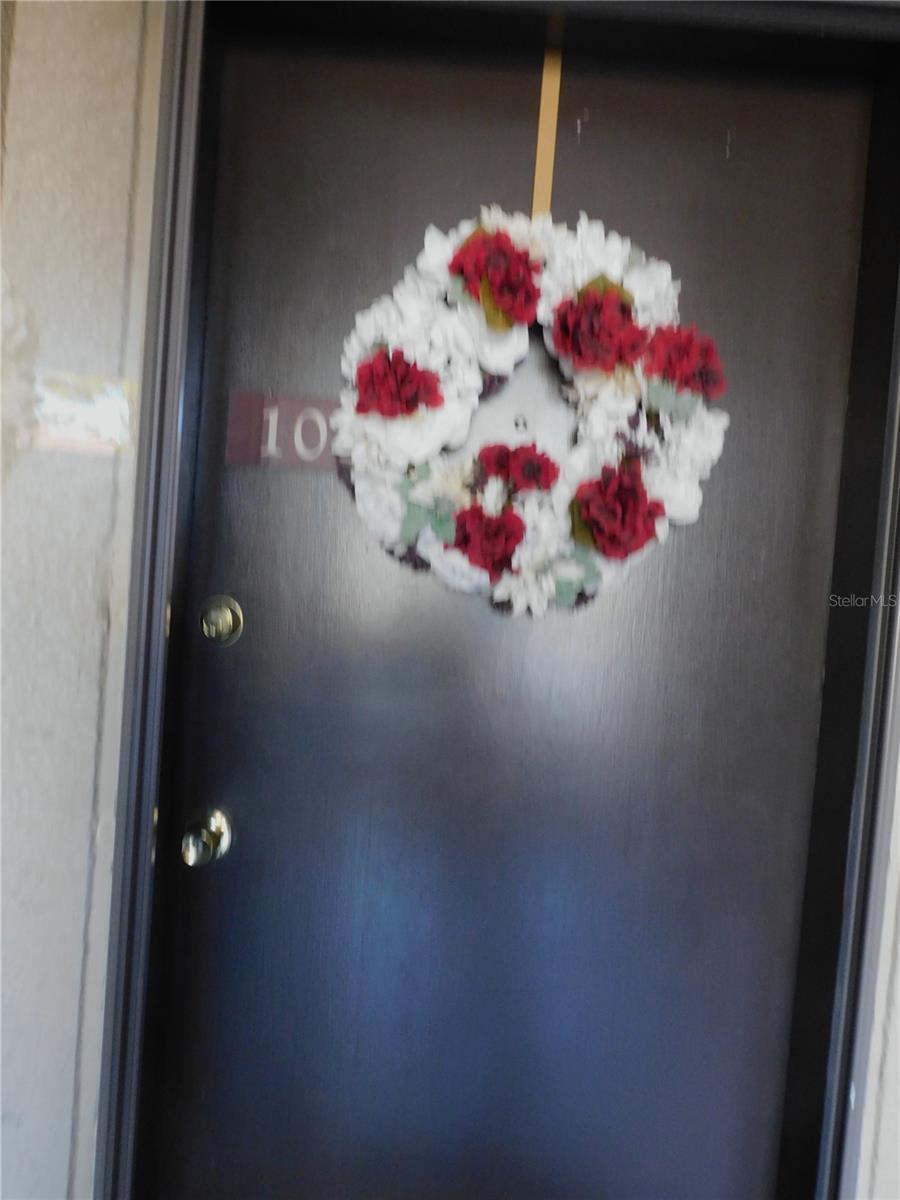 860 S VILLAGE DRIVE N 101