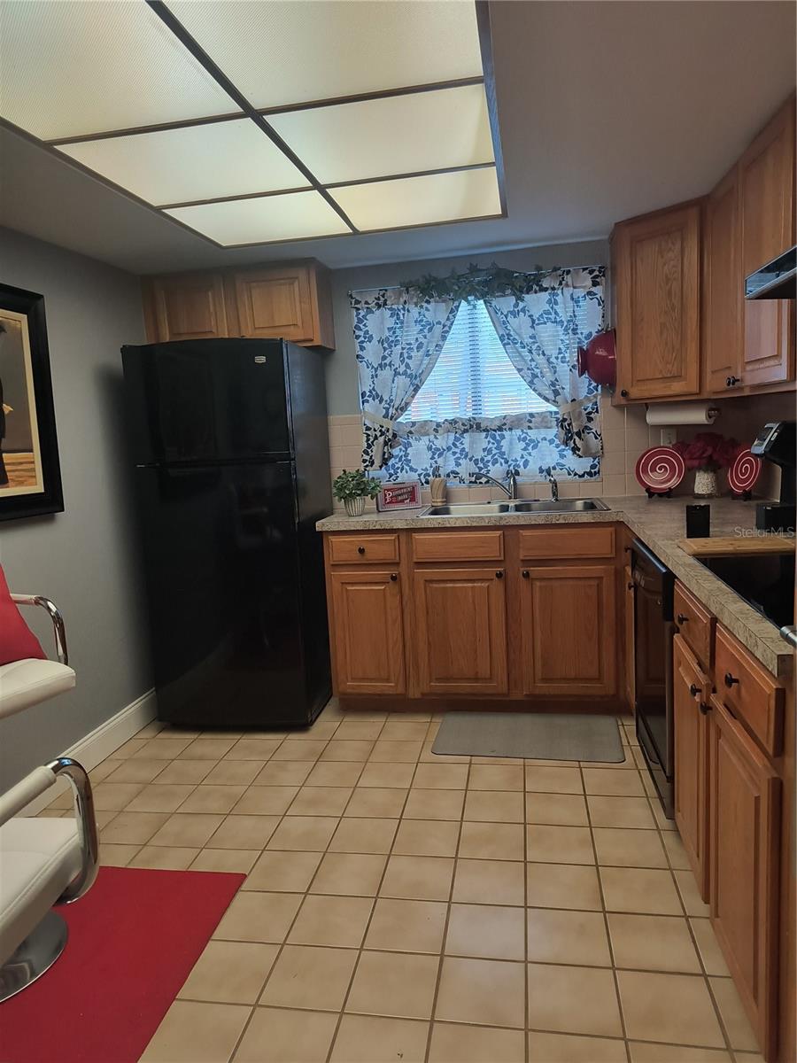 VILLAGE LAKE CONDO - Residential