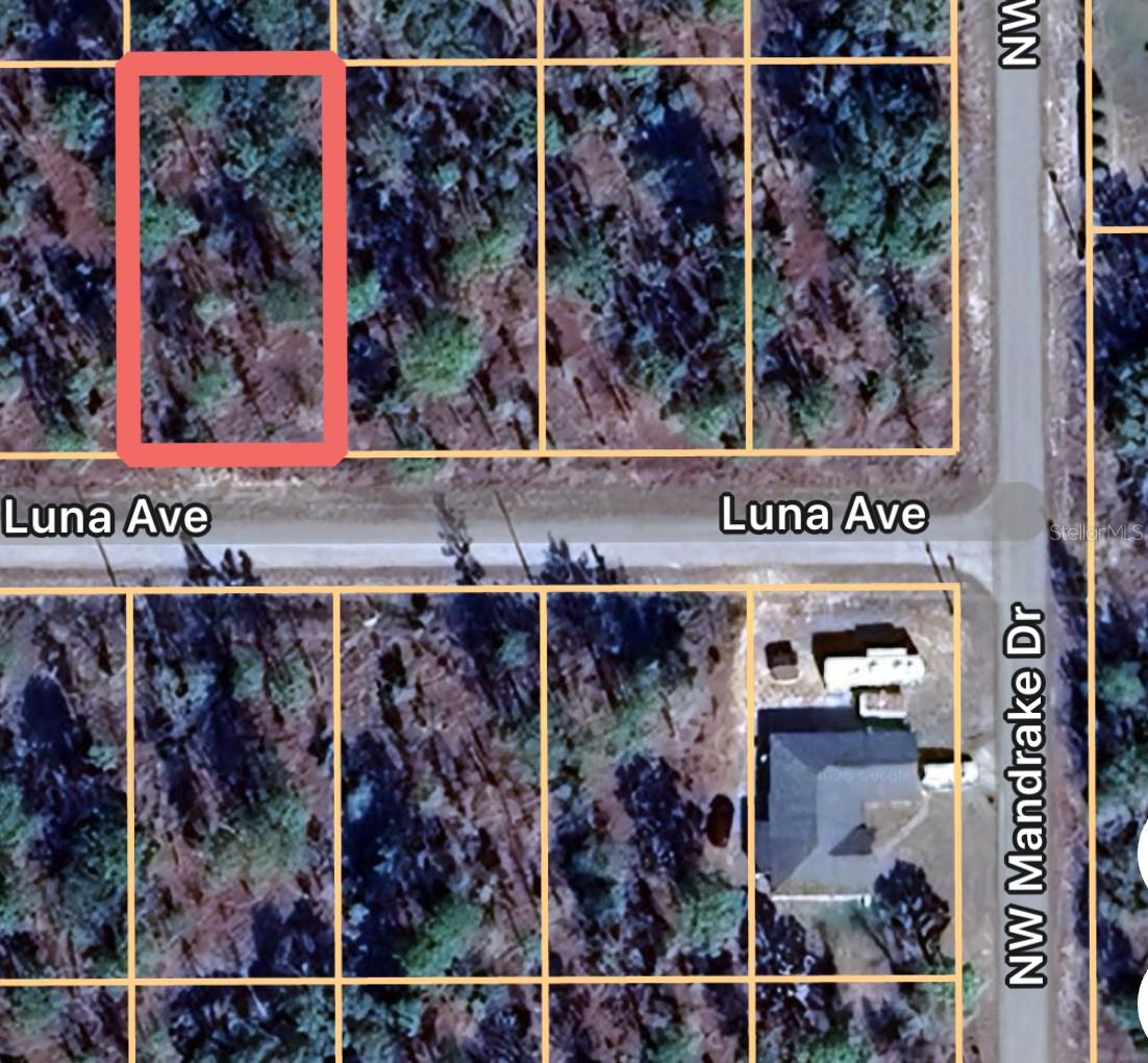 Nice oversized lot with electric already on the paved street, located in Rainbow Lakes Estates. This is .26 of an acre is zoned R-1 for site built homes only. Easy commute to Ocala, Crystal River, or Citrus Springs. Attention Builders and Investors, this one is ready to go! Call today to make it yours!