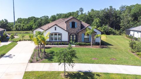 Photo of 2819 Cordoba Ranch Boulevard, Lutz, FL 33559 (MLS # TB8372629)