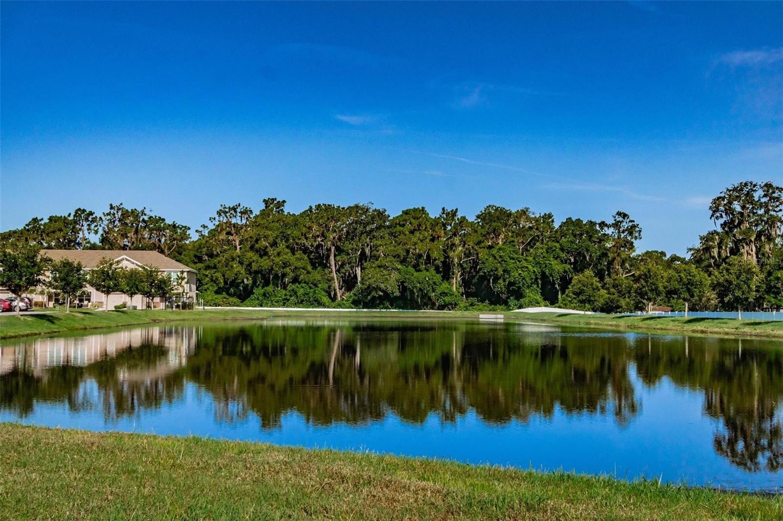 LANDINGS AT ALAFIA - Residential