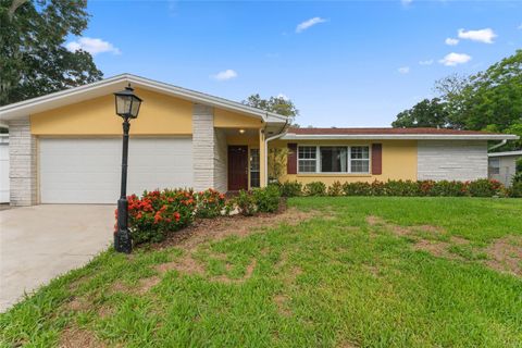 A home in PALM HARBOR