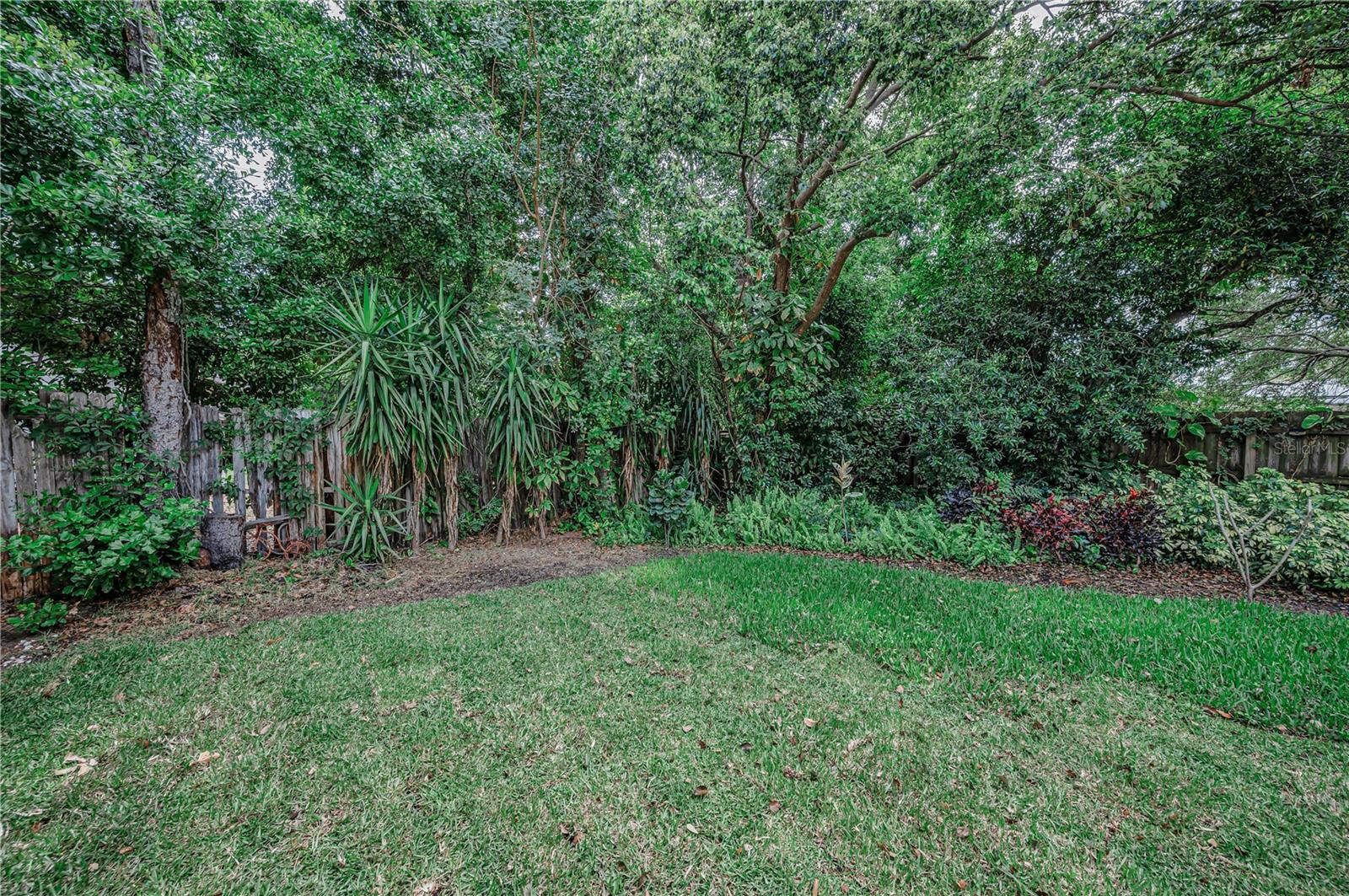 CURLEW CITY FIRST REP - Residential