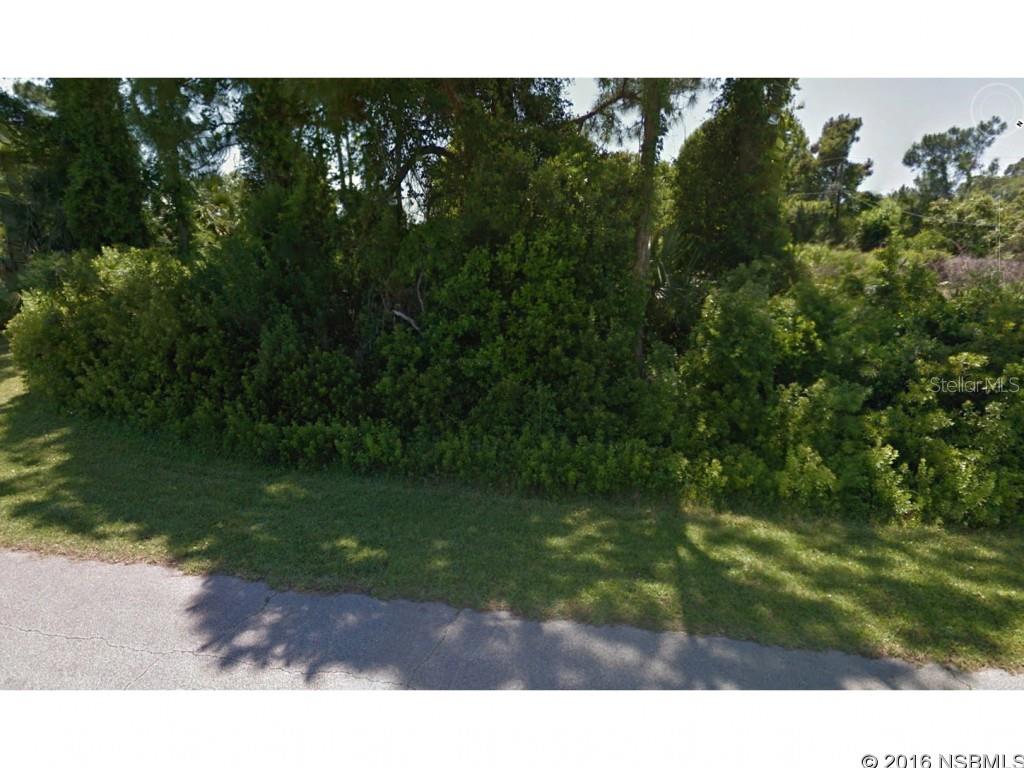 Fantastic high lot and partially cleared. Build your new home here on the quieter South end of the Shores. Minutes to shopping, dining, river, parks, and the beach. Can be purchased with neighboring home (3226 Royal Palm Drive). Combined with the neighboring home the total land size would be 200 x 125; Cleared: Partial ;Water: Available at Site