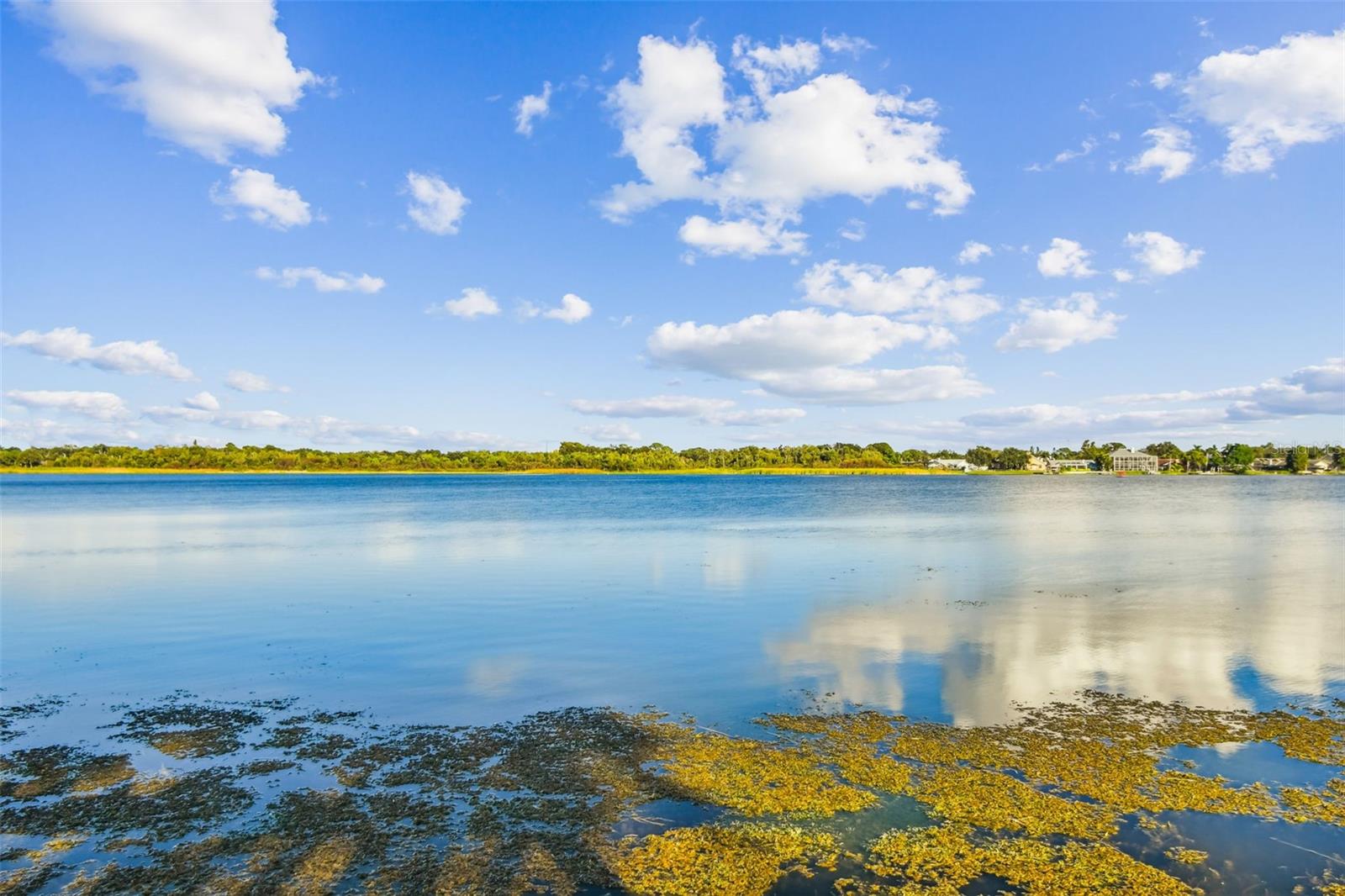 BELLA VISTA ON LAKE - Residential