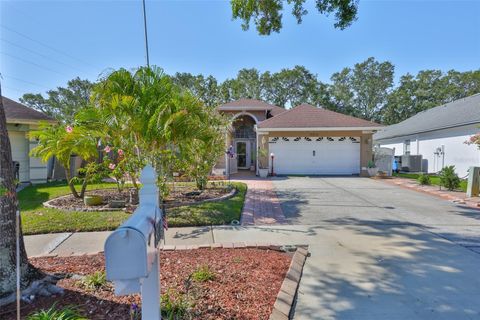 8916 SOUTHBAY DRIVE TAMPA FL 33615