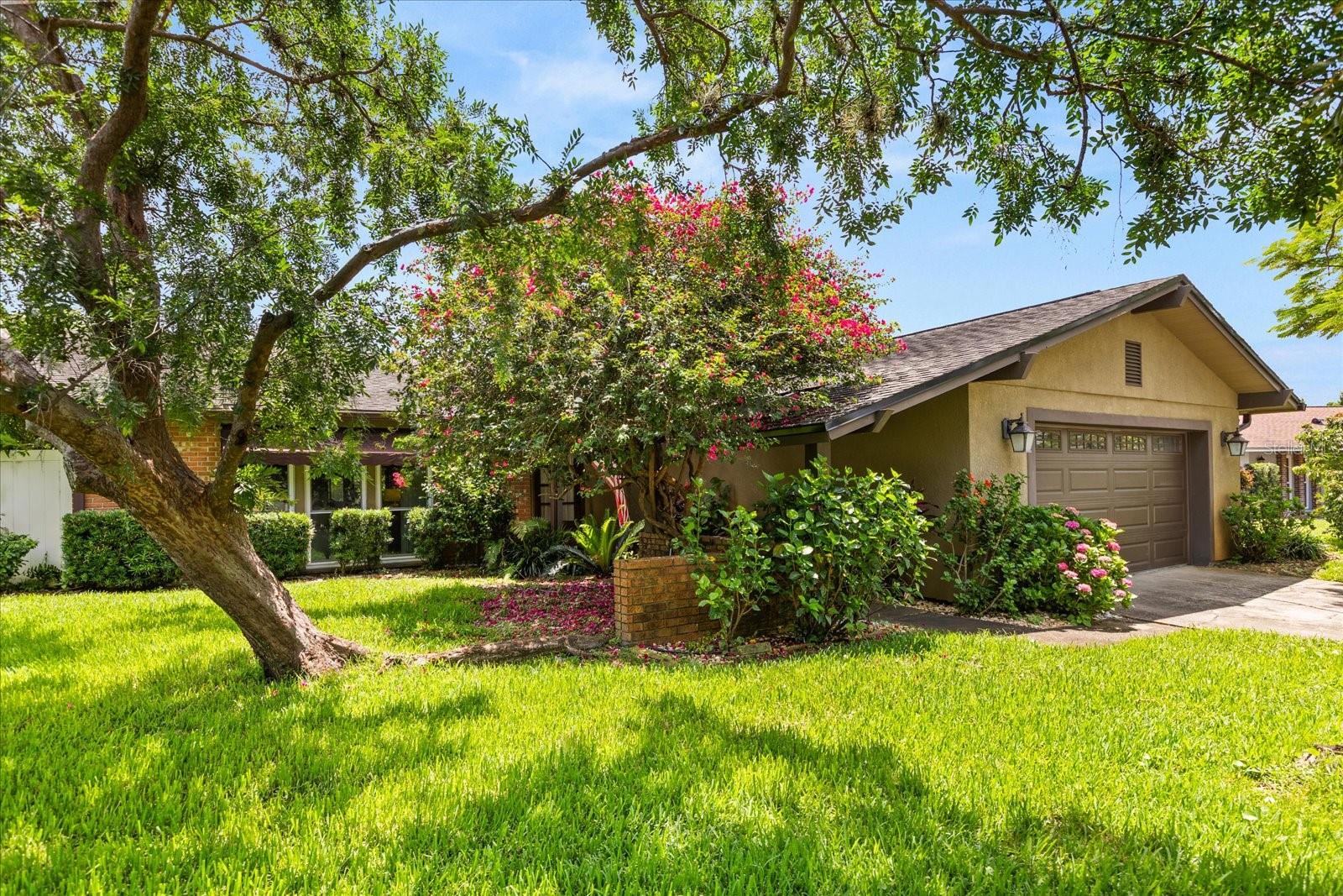 1247 ROSEMARY DRIVE