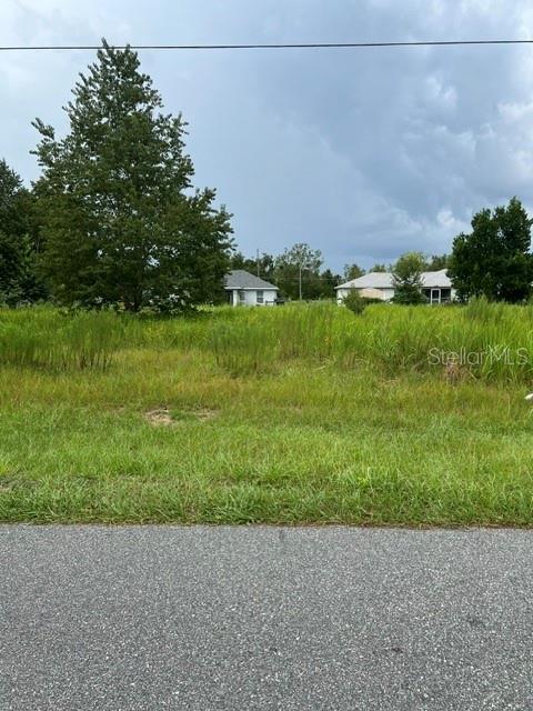 Photo of Tbd Juniper Loop Pl, Ocala, FL 34480 (MLS # OM732720)