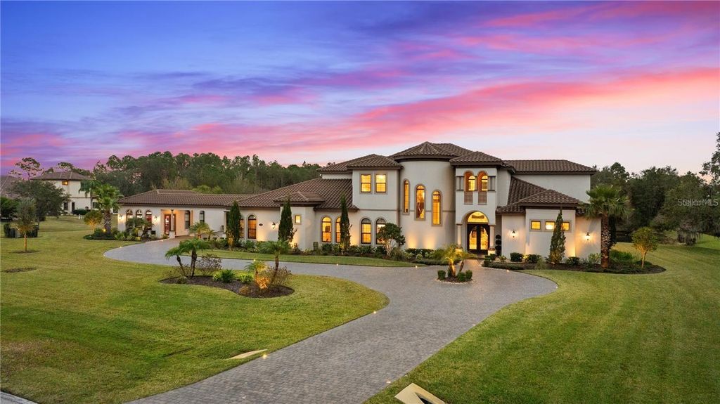 Photo of 12405 Stonelake Ranch Blvd, Thonotosassa, FL 33592 (MLS # TB8425912)