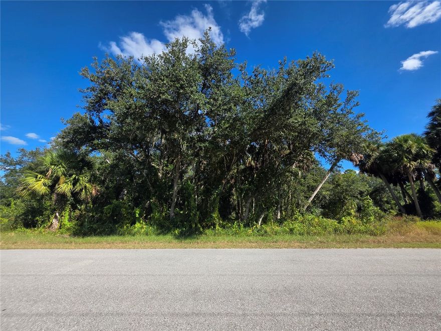 Welcome to paradise!! Build your house on this vacant lot on a quiet steet! Close to shopping & restaurants. Easy access to I-75 and Tamiami Trail! Not on scrub jay map at time of listing. No flood insurance required. No HOA fees.