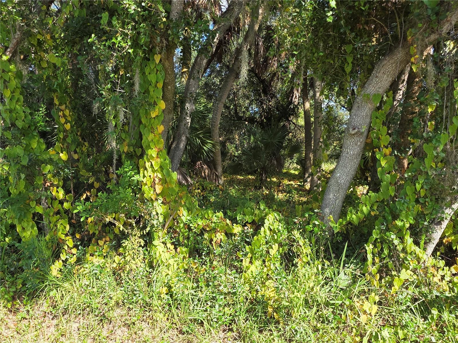 PORT CHARLOTTE SEC 017 - Land
