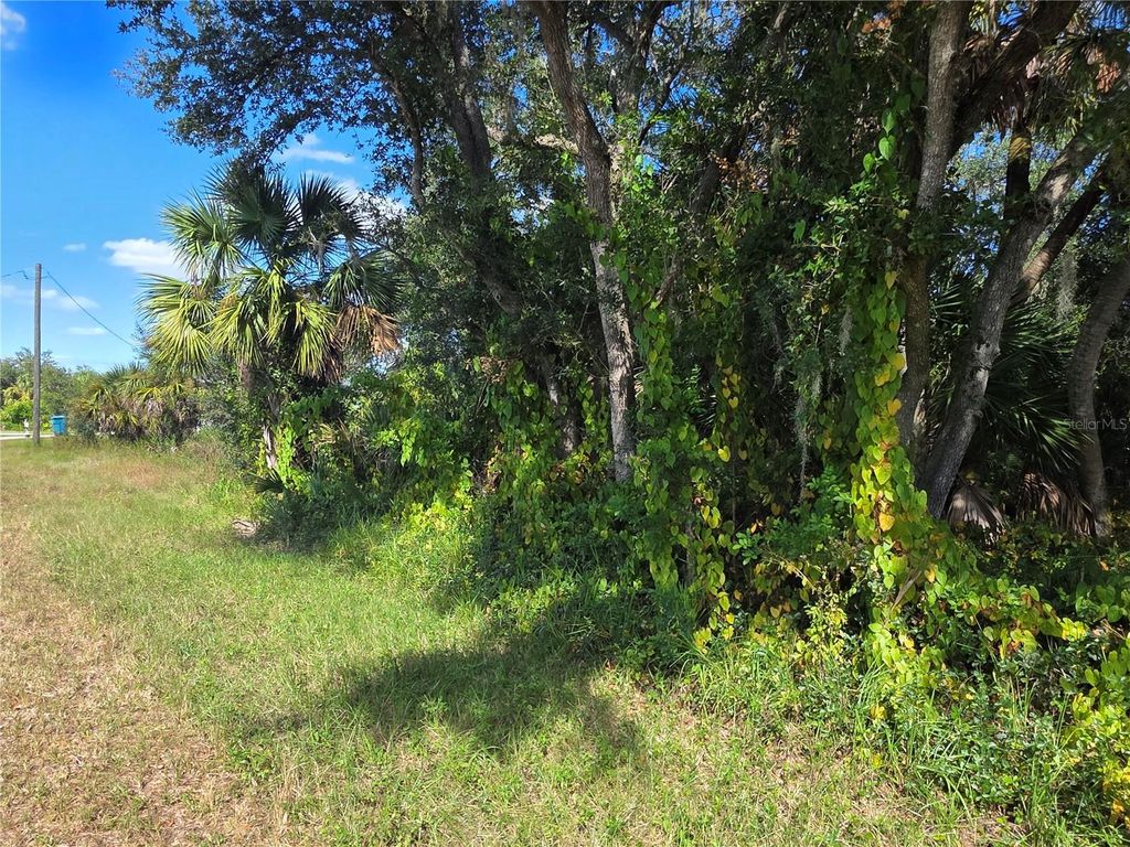 Photo of 414 Liddy Street, Port Charlotte, FL 33954 (MLS # D6144329)