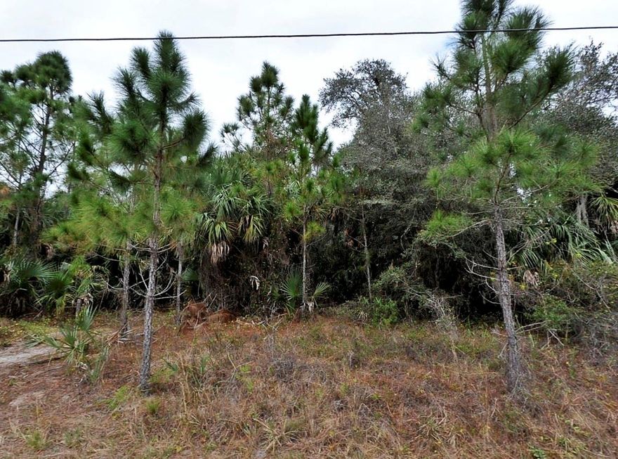 PERFECT LOCATION to build your new home in the fast growing city. Price for one lot. 5 lots are available MLS #A4674629 on Belladonna Ave, MLS #4675780 on Snyder St, MLS #A4675936 on Basket St, MLS #A4675928 on Kenoska St, North Port, FL for additional price. NO HOA/CDD!!! NO FLOOD INSURANCE REQUIRED! ALL LOTS conveniently located close to Publix, ALDI, Toledo Blade, and I75, shopping, restaurants, River, fishing, to area beaches, golfing, and airport. Within 5 minutes drive you can be at Aquatic Center, Sarasota Memorial ER, within 20 minutes drive to WARM MINERAL SPRINGS, the new Atlanta Braves Training Stadium, Cool Today Park. Within 30 minutes drive , you can be at Manasota Beach on the Gulf of Mexico, and much more. Don't miss on the GREAT LOCATION FOR YOUR DREAM HOME! Electric is available. No FLOOD ZONE, your lender will not require flood insurance when you build your new home! Do not pass up this opportunity to build your dream home or NEXT INVESTMENT!!!