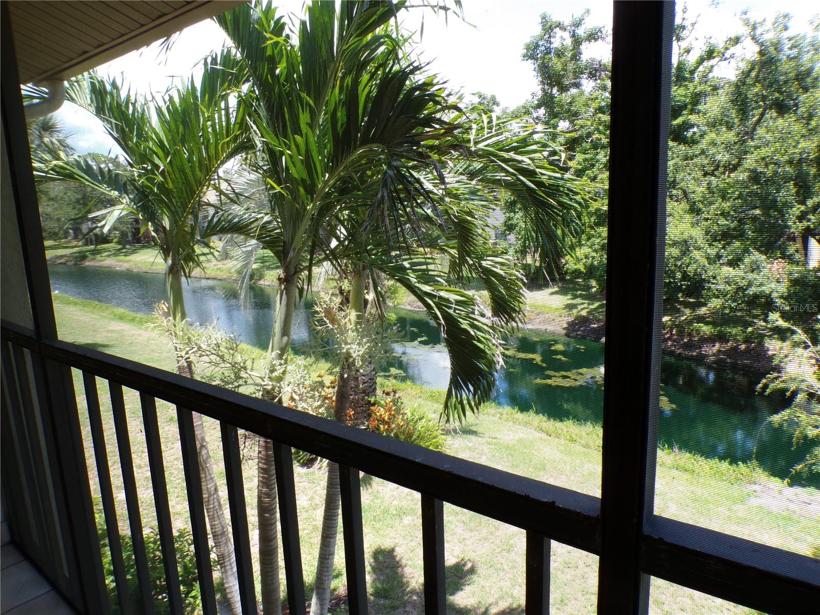 BIRD BAY V - Residential Lease