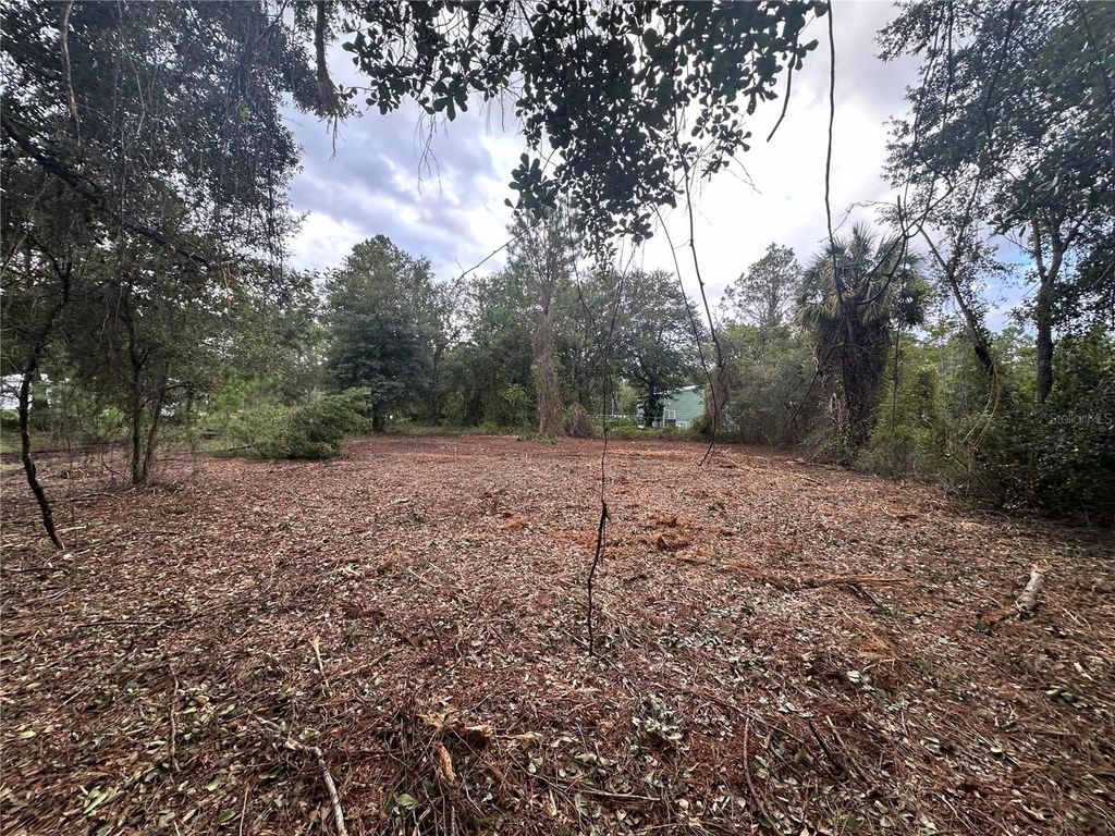 Photo of 323 Carteret Road, Georgetown, FL 32139 (MLS # O6354236)