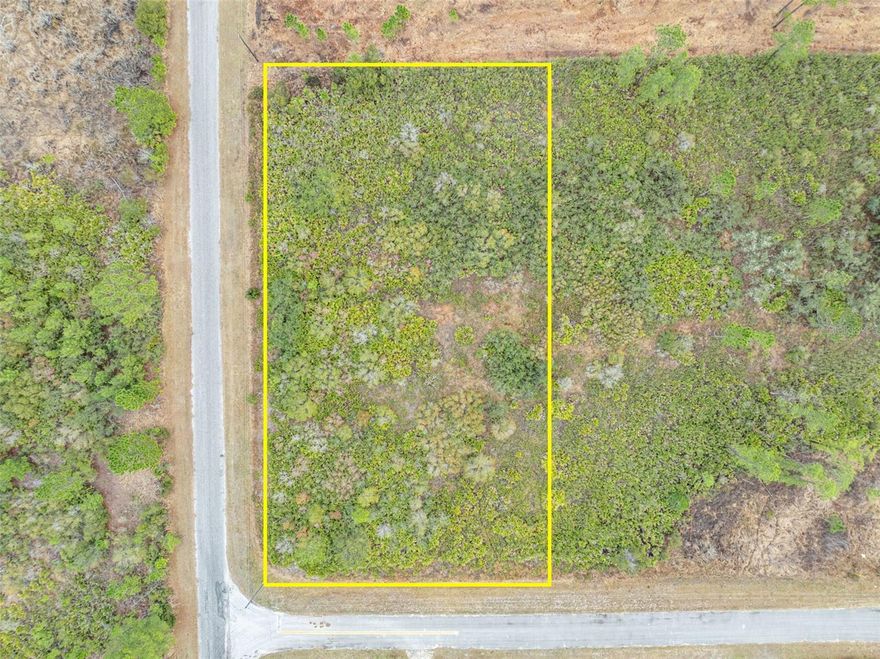 Build your dream home on this beautiful 1-acre vacant lot located in the desirable Royal Trails community of Eustis. This spacious property offers the perfect blend of privacy and natural surroundings, giving you plenty of room to design a custom home, add a workshop, or create your own outdoor retreat.

Buyer to do their own survey.