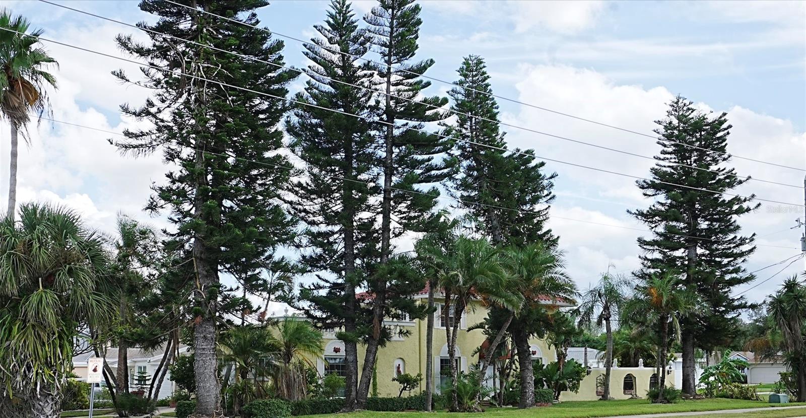 BELLEAIR BEACH - Residential