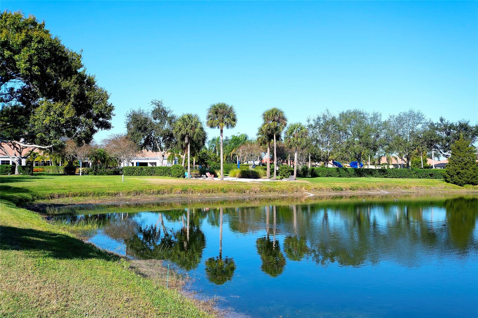 LAKERIDGE FALLS PH 1C - Residential