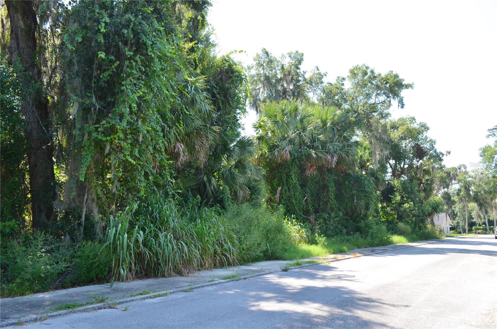This beautiful lot is now available! Measuring approximately 100' x 84', this lot is located in DeLand's Opportunity Zone conveniently located close to the Downtown DeLand area and 1 mile to Stetson University. The location offers easy access to charming restaurants, plenty of shopping and entertainment, year round parades, festivals, and events! The adjoining lot, which is the same size, is also for sale: V4944571