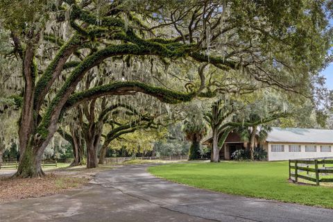 Tiny photo for 551 NE 200 Avenue, Williston, FL 32696 (MLS # O6349209)