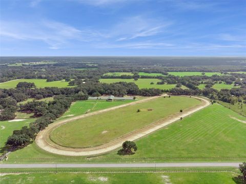 Tiny photo for 551 NE 200 Avenue, Williston, FL 32696 (MLS # O6349209)