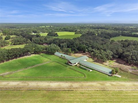 Tiny photo for 551 NE 200 Avenue, Williston, FL 32696 (MLS # O6349209)