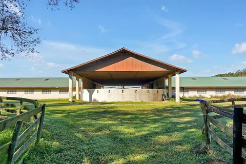 Tiny photo for 551 NE 200 Avenue, Williston, FL 32696 (MLS # O6349209)