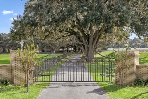 Tiny photo for 551 NE 200 Avenue, Williston, FL 32696 (MLS # O6349209)