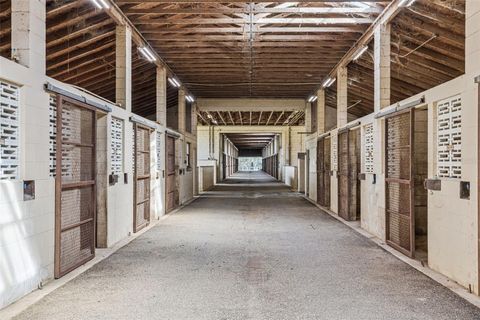 Tiny photo for 551 NE 200 Avenue, Williston, FL 32696 (MLS # O6349209)