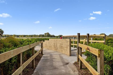 Tiny photo for 551 NE 200 Avenue, Williston, FL 32696 (MLS # O6349209)