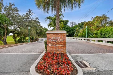 A home in BELLEAIR