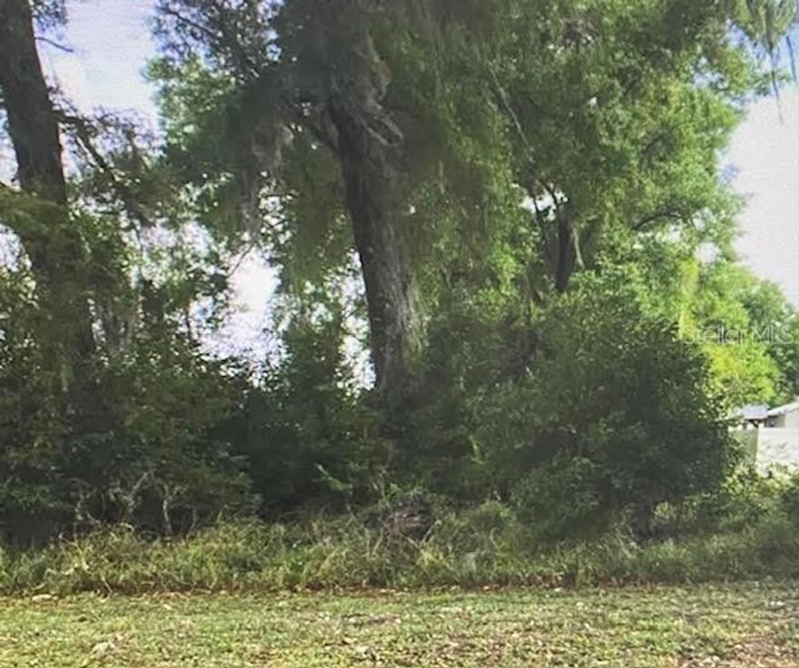 GREAT MOBILE HOME OR BUILDERS LOT, CITY WATER AVAILABLE, GREAT LOCATION, CENTRALLY LOCATED TO THE DEVELOPMENT OF THE VILLAGES AND STATE ROAD 50, STATE ROAD 301, AND COUNTY ROAD 48