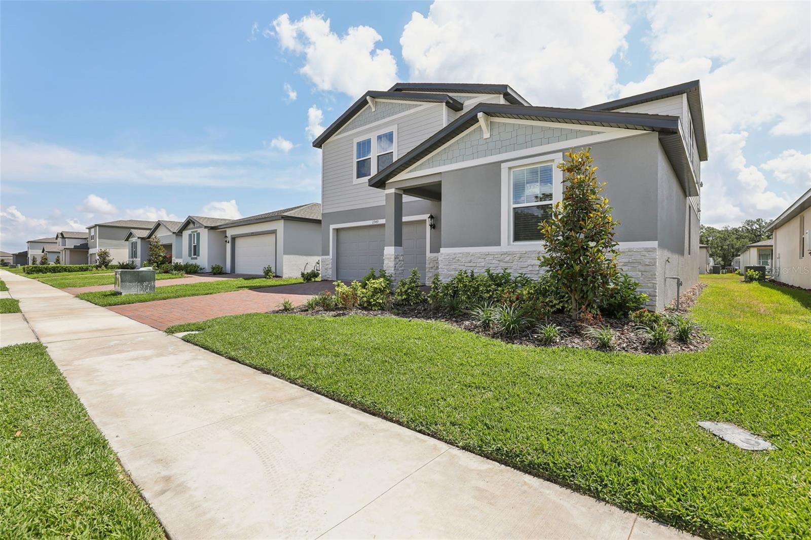 2949 WILD OLIVE DRIVE